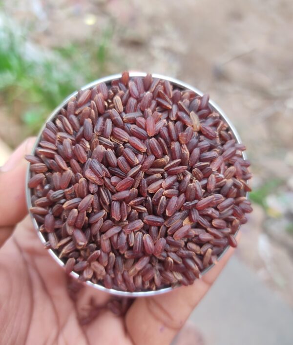 Kullakkar Rice - Organic, Nutrient-Rich, Heart-Healthy, Gluten-Free & Delicious Heirloom Grain for Balanced Nutrition & Wellness