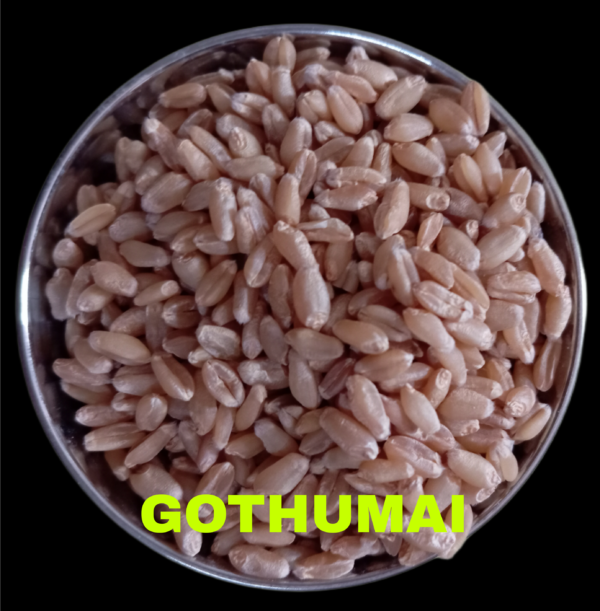Premium Organic Gothumai (Whole Wheat) – Nutrient-Rich, Heart-Healthy, High in Fiber, Perfect for Rotis, Bread & Porridge – Sustainably Grown & Chemical-Free