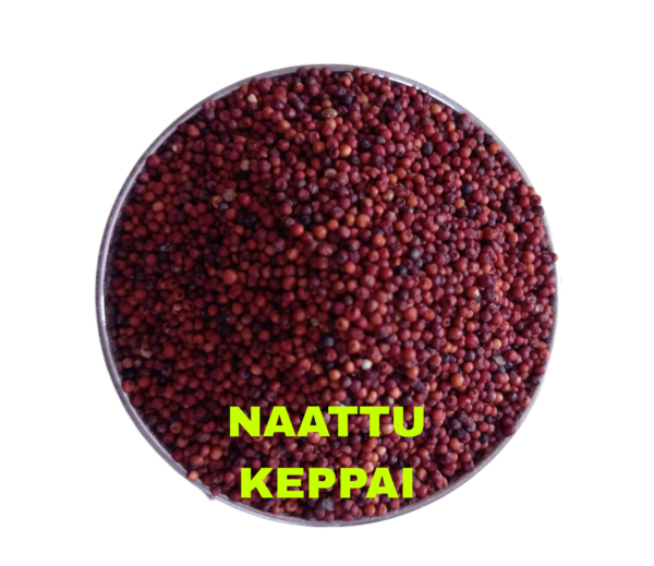 Naattu Keppai (Traditional Millet) – Organic, Nutritious Superfood for Improved Digestion, Heart Health & Energy – 100% Chemical-Free, Sustainable Choice
